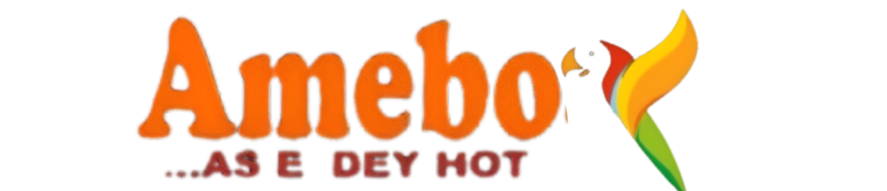 Amebo Logo